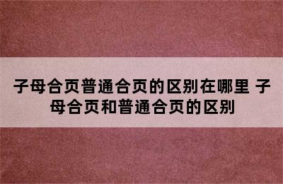 子母合页普通合页的区别在哪里 子母合页和普通合页的区别